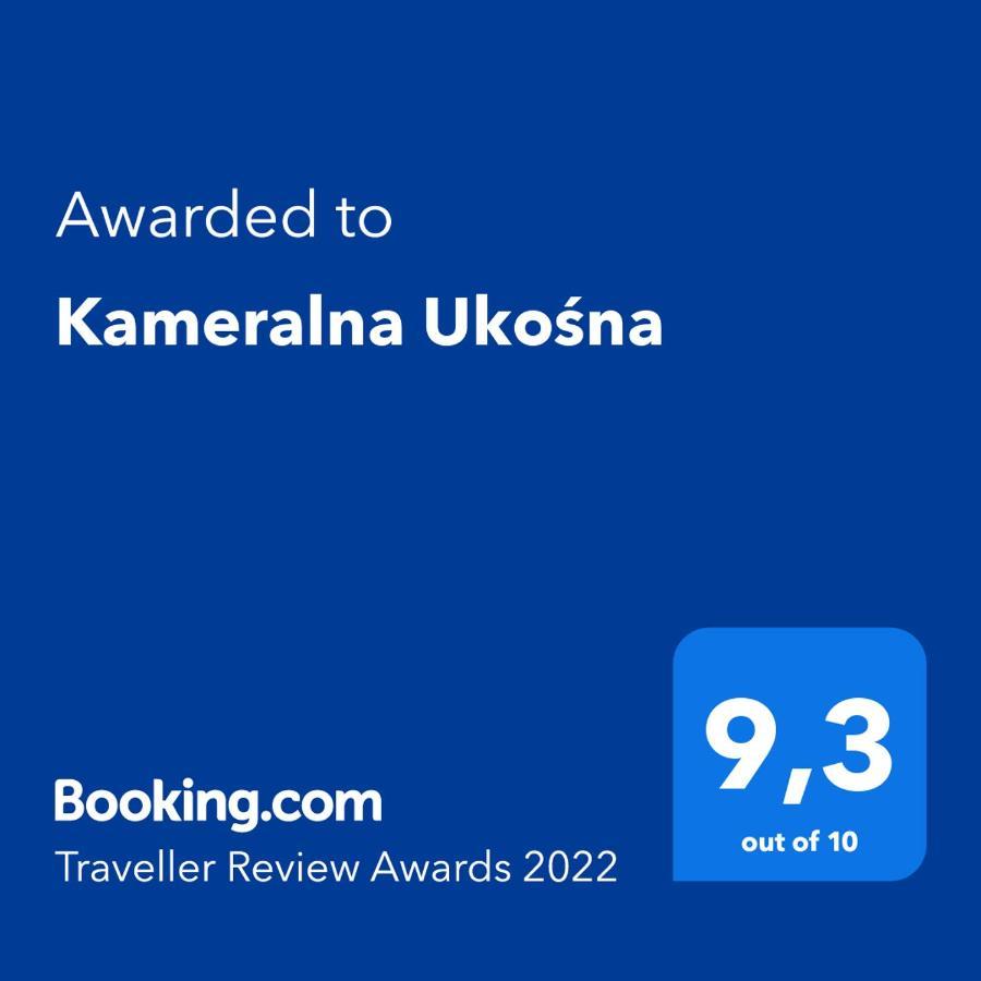 Kameralna Ukosna Διαμέρισμα Μπιάλιστοκ Εξωτερικό φωτογραφία